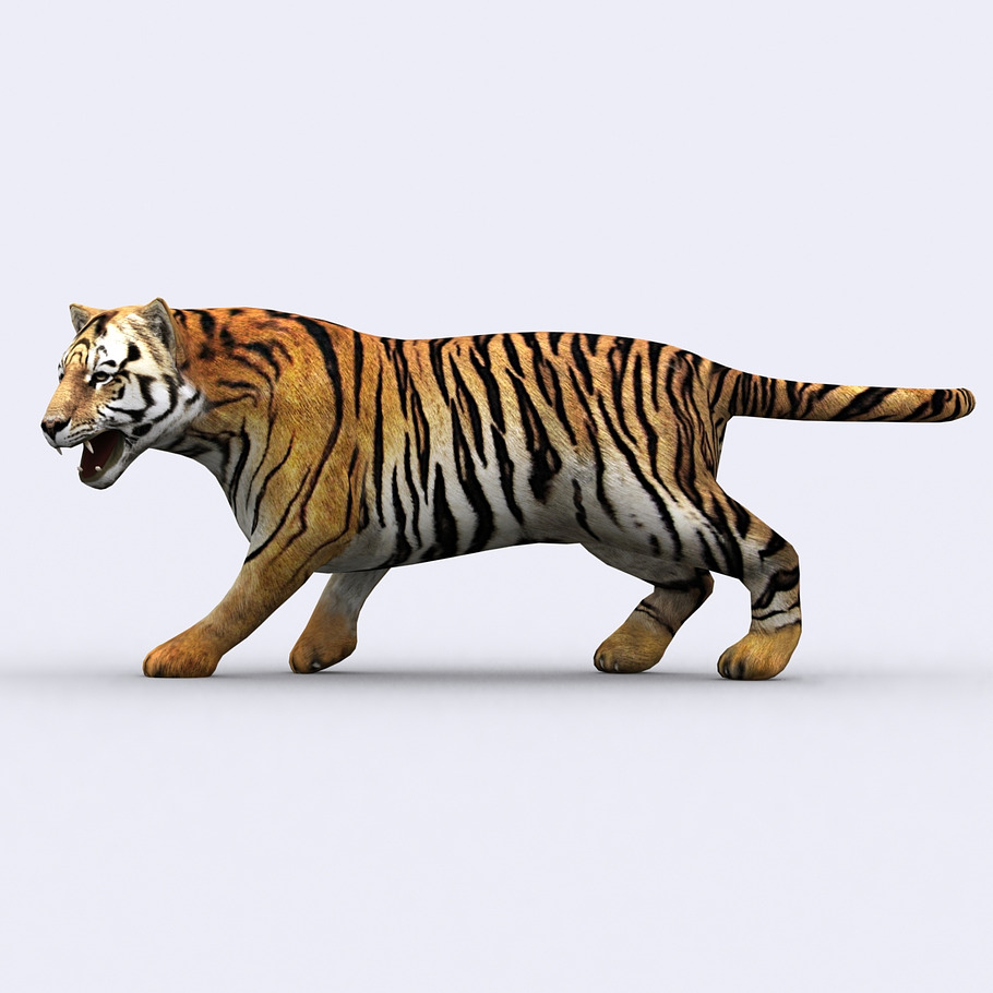3DRT - Safari animals - Tiger in Animals - product preview 2