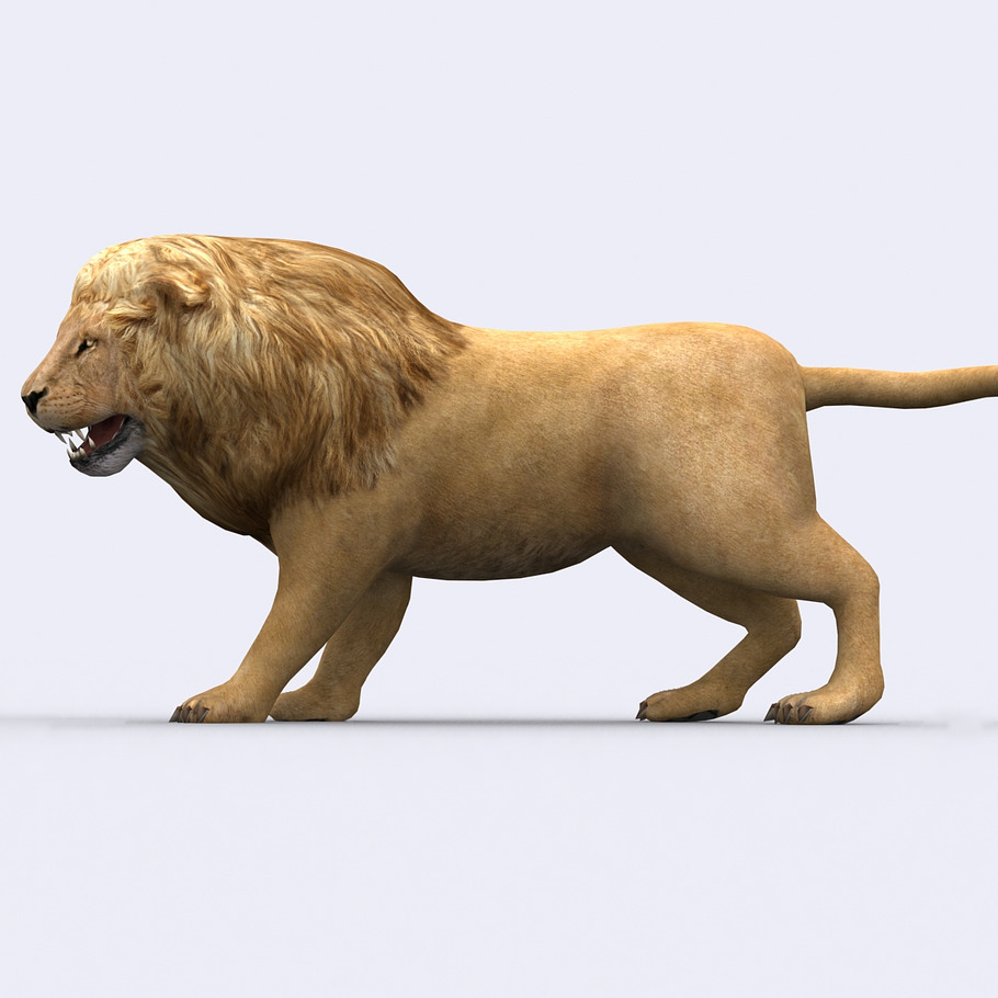 3DRT - Safari animals - Lion in Animals - product preview 2