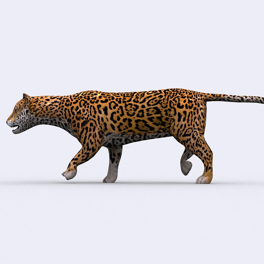 3DRT - Safari animals - Jaguar in Animals - product preview 1