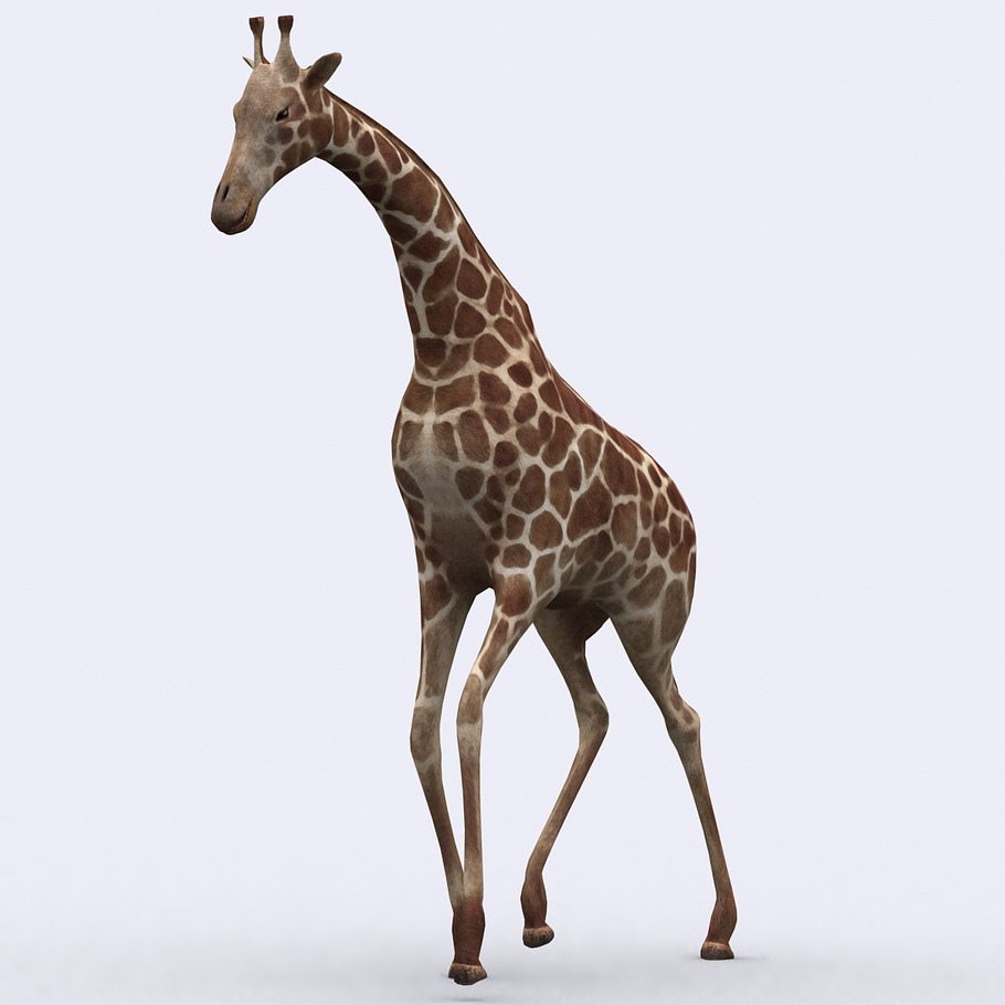 3DRT - Safari animals - Giraffe in Animals - product preview 2