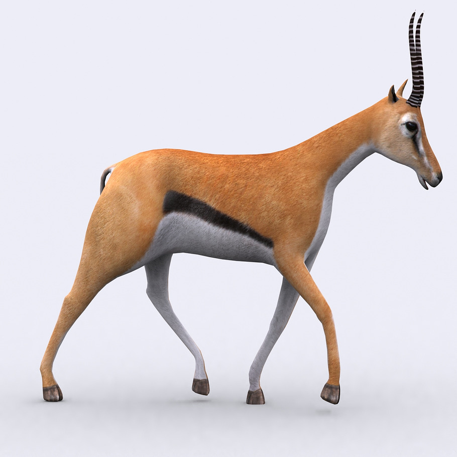 3DRT - Safari animals - Gazelle in Animals - product preview 1