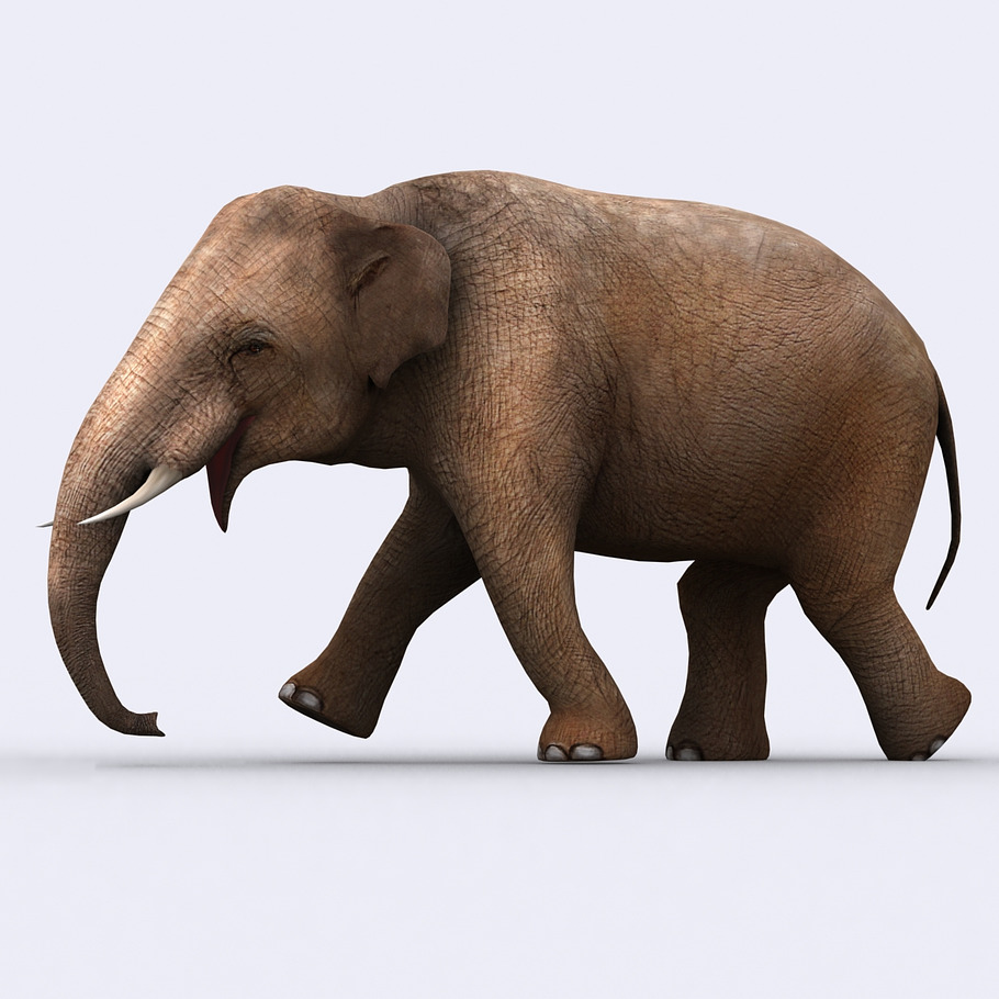 3DRT - Safari animals - Elephant in Animals - product preview 2