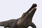 3DRT - Safari animals - Crocodile