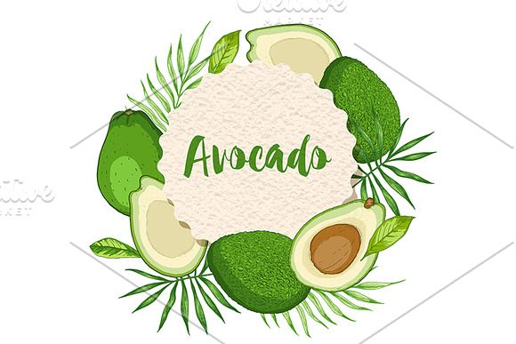 Avocado Design Kit in Illustrations - product preview 3