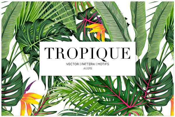 Tropique, Exquisite Vector Pattern!