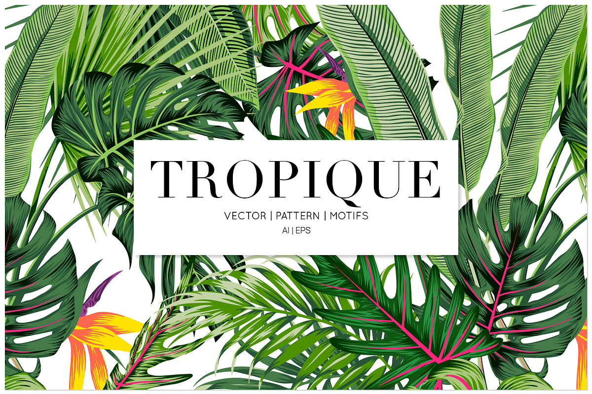 Tropique, Exquisite Vector Pattern! in Patterns - product preview 8