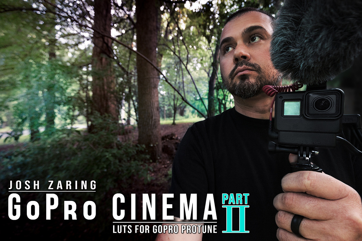 GoPro Protune Cinema LUT Pack II in Add-Ons - product preview 8