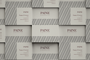 PAINE Business Card