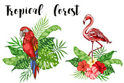 Tropical Forest Clip Art
