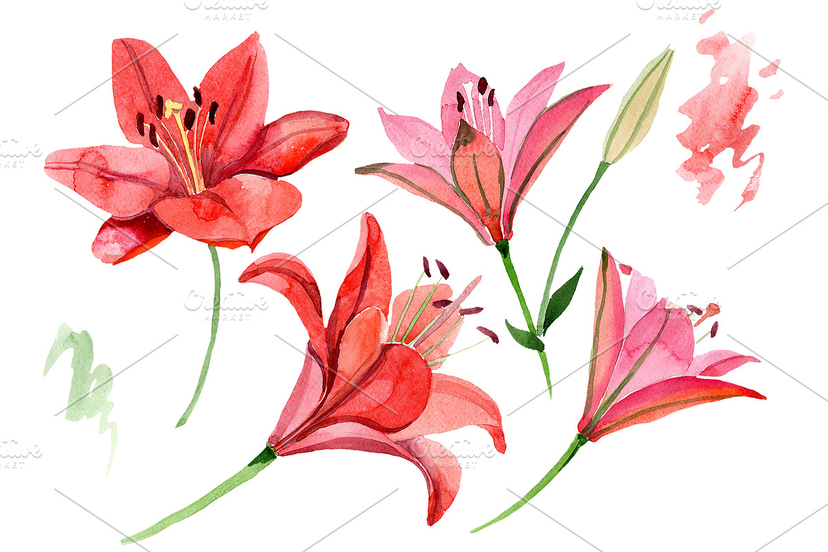 Red lily flower watercolor png in Illustrations - product preview 8