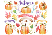 Autumn Watercolor Pumpkin Set