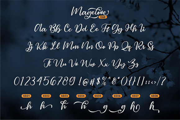 Magelove - Two Style Font in Script Fonts - product preview 9
