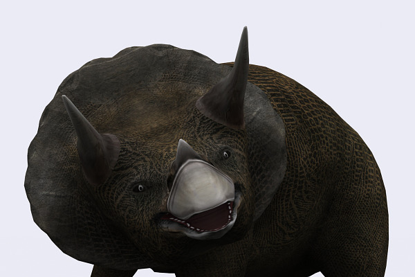 3DRT - Dinosaurs - Triceratops
