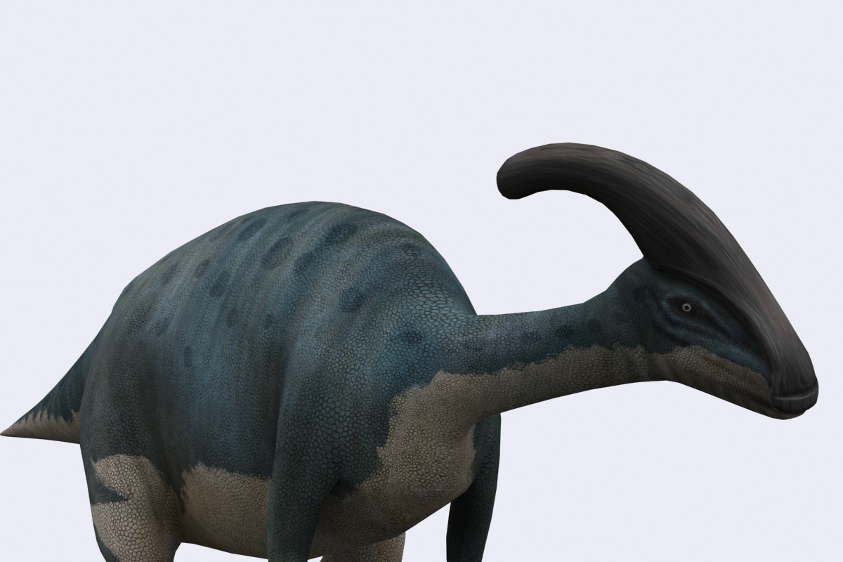 3DRT - Dinosaurs - Parasaurolophus in Animals - product preview 8