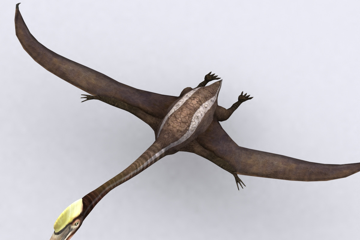 3DRT - Dinosaurs - Quetzalcoatlus in Animals - product preview 8