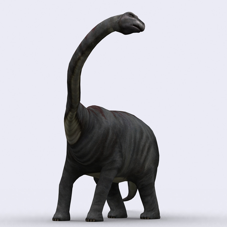 3DRT - Dinosaurs - Diplodocus in Animals - product preview 2