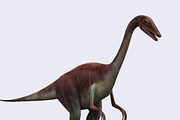 3DRT - Dinosaurs - Compsognathus