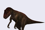 3DRT - Dinosaurs - Allosaurus