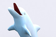 Toonpets animals - Dolphin