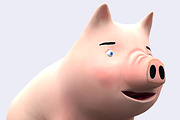 Toonpets animals - Pig
