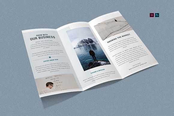 Economist - Trifold Brochure in Brochure Templates - product preview 2
