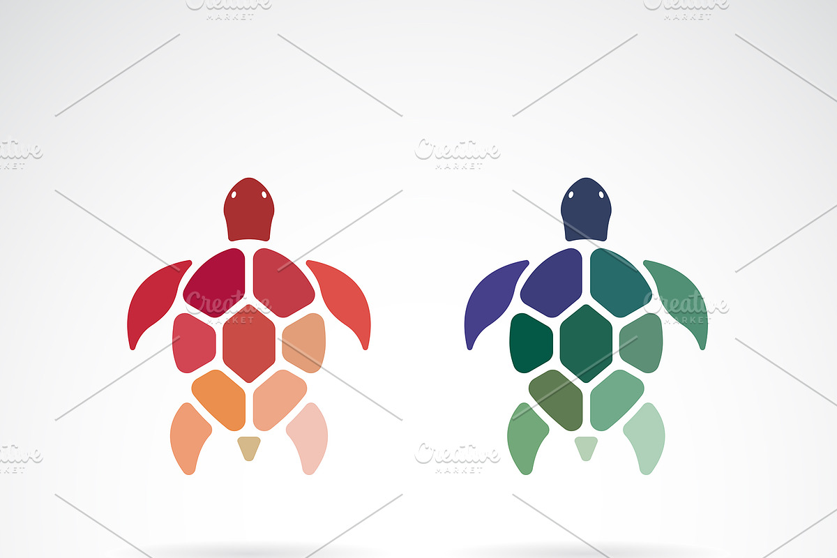 Vector of two colorful turtles. in Icons - product preview 8