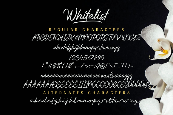 Whitelist - Stylish Marker Font in Script Fonts - product preview 11