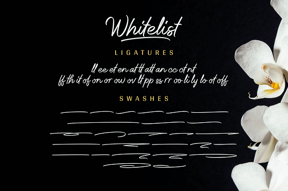 Whitelist - Stylish Marker Font in Script Fonts - product preview 12