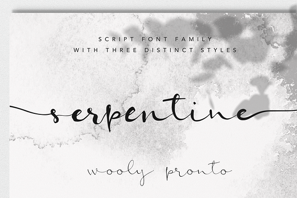 Serpentine Script Font Family