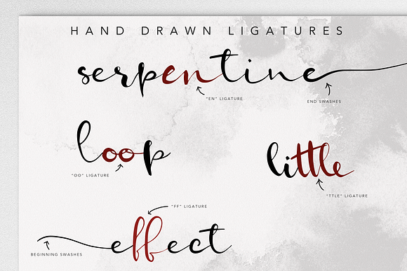 Serpentine Script Font Family in Script Fonts - product preview 2