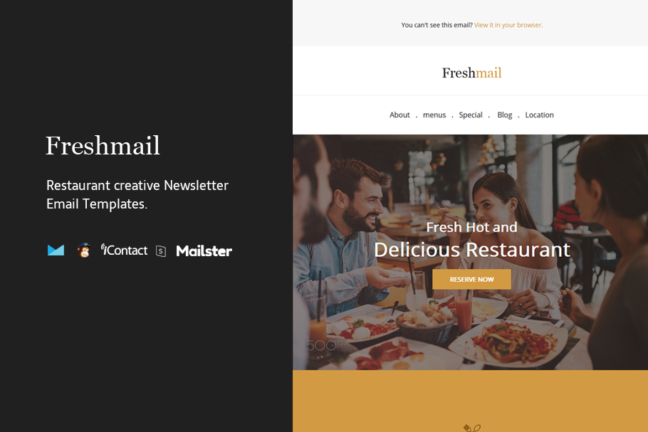 freshmail - Email Template in Mailchimp Templates - product preview 8