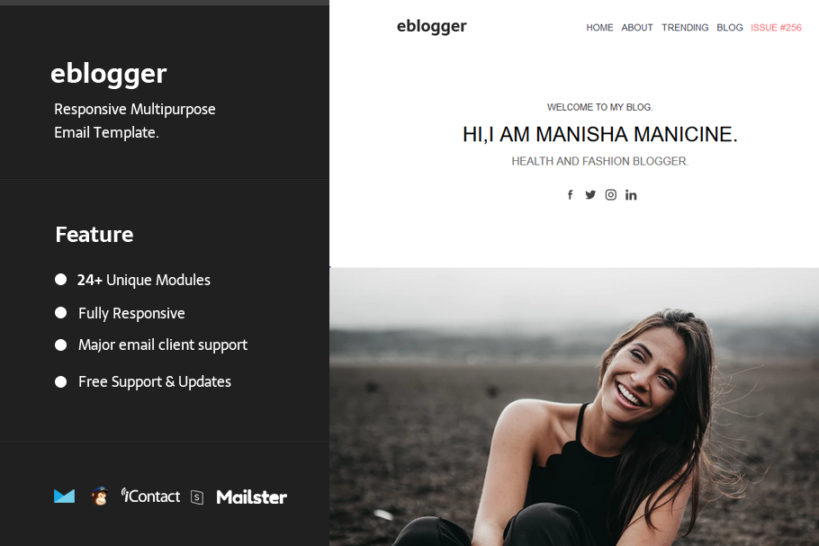 eblogger - Email Template in Mailchimp Templates - product preview 8