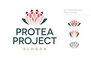 Protea / Lotus / Lily flower logo