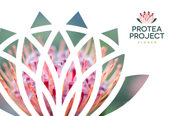Protea / Lotus / Lily flower logo in Logo Templates - product preview 2
