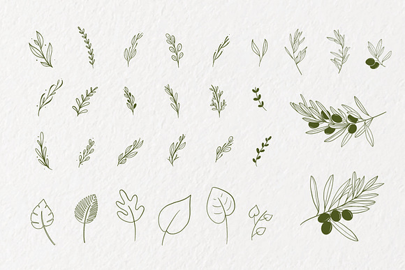 Sulur Foliage in Illustrations - product preview 3