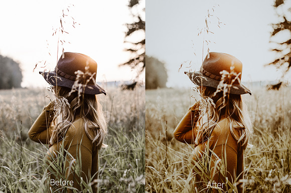 Cloudberry Lightroom Preset in Photoshop Actions - product preview 6