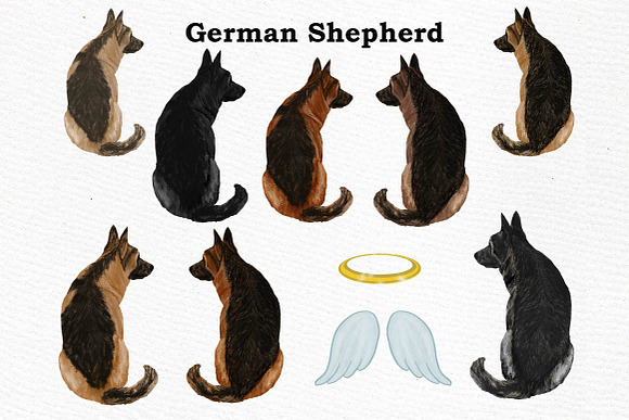 Dogs Clipart Dog breeds Pet clipart in Illustrations - product preview 1