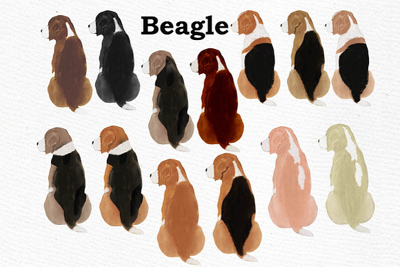 Dogs Clipart Dog breeds Pet clipart in Illustrations - product preview 5