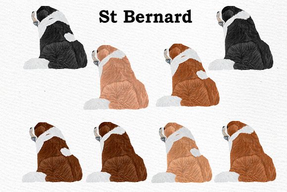 Dogs Clipart Dog breeds Pet clipart in Illustrations - product preview 7