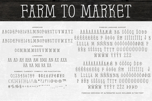 Farm to Market in Display Fonts - product preview 2