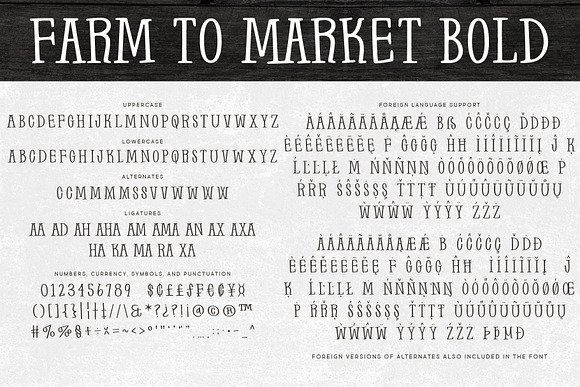 Farm to Market in Display Fonts - product preview 3