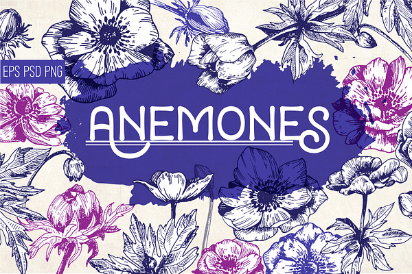 Anemones. Ink flower set