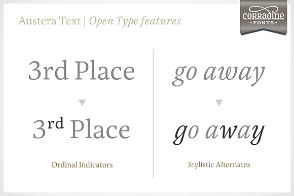 Austera Text Essential #3 in Serif Fonts - product preview 5