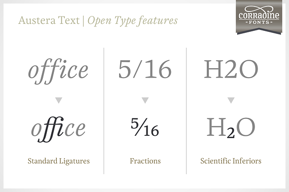Austera Text Essential #3 in Serif Fonts - product preview 7