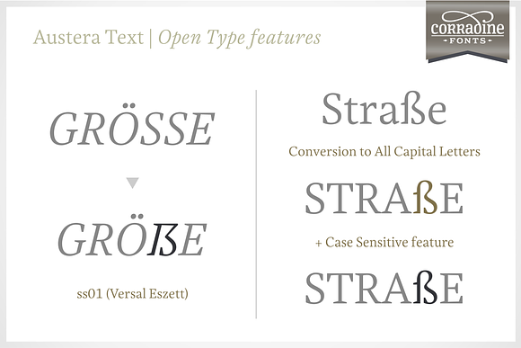 Austera Text Essential #3 in Serif Fonts - product preview 8