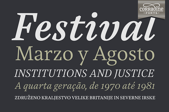 Austera Text Essential #3 in Serif Fonts - product preview 11