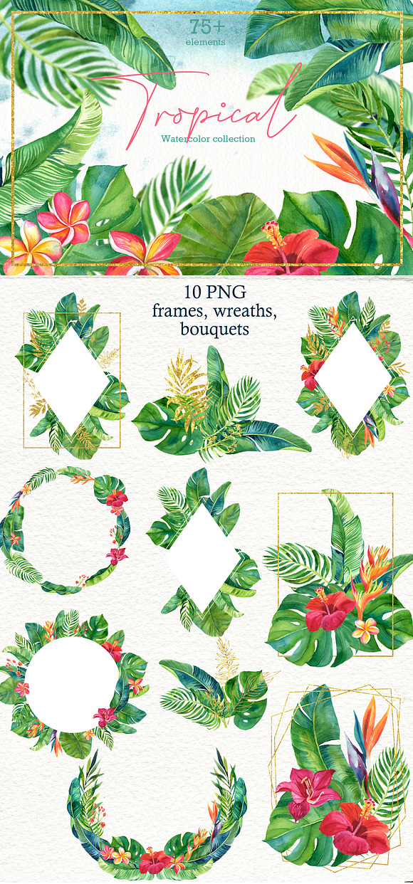 Tropic leaves&flowers Watercolor set in Illustrations - product preview 8