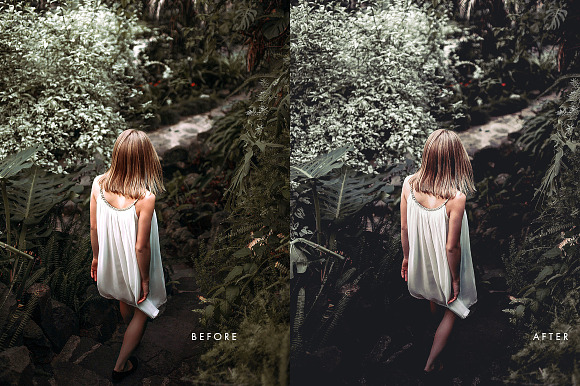 Kodak Film Lightroom & ACR Presets in Add-Ons - product preview 8