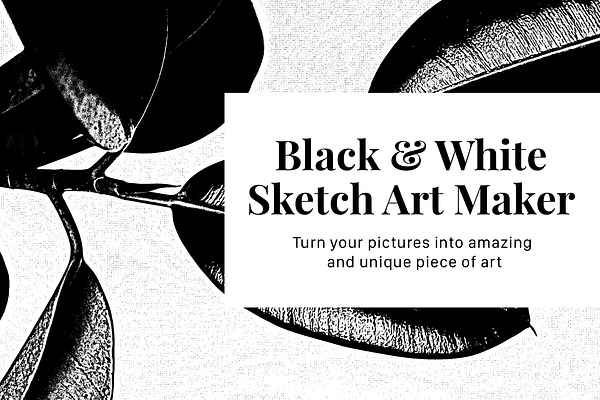 Black & White Sketch Art Maker