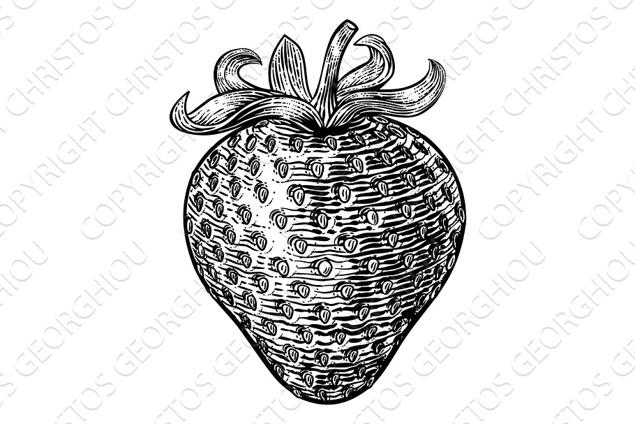 Strawberry Vintage Woodcut in Illustrations - product preview 8